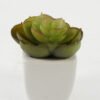 Artificial succulent 8*8*8cm Artificial succulent in ceramic pot GS-51722121 Succulent YeahFlower is one of Chinese leading OEM manufacturers and exporters , supplying the silk flowers, wholesale artificial trees