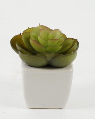 Artificial succulent 8*8*8cm Artificial succulent in ceramic pot GS-51722121 Succulent YeahFlower is one of Chinese leading OEM manufacturers and exporters , supplying the silk flowers, wholesale artificial trees