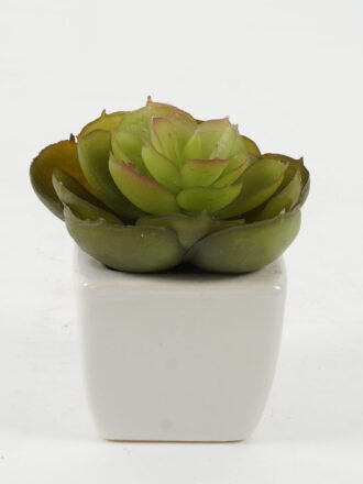 Artificial succulent 7*7*7cm Artificial succulent in ceramic pot GS-51722120 Succulent 3,000+ sqm showroom with thousands of artificial flowers, plants & trees ready for global sourcing.