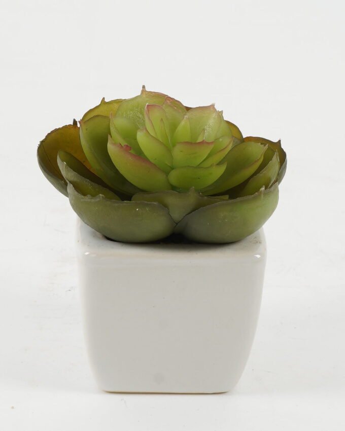 Artificial succulent 8*8*8cm Artificial succulent in ceramic pot GS-51722121 Succulent YeahFlower is one of Chinese leading OEM manufacturers and exporters , supplying the silk flowers, wholesale artificial trees