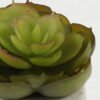 Artificial succulent 8*8*8cm Artificial succulent in ceramic pot GS-51722121 Succulent YeahFlower is one of Chinese leading OEM manufacturers and exporters , supplying the silk flowers, wholesale artificial trees