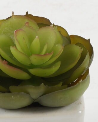 Artificial succulent 8*8*8cm Artificial succulent in ceramic pot GS-51722121 Succulent YeahFlower is one of Chinese leading OEM manufacturers and exporters , supplying the silk flowers, wholesale artificial trees