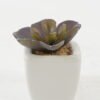 Artificial succulent 7*7*7cm Artificial succulent in ceramic pot GS-51722122 Succulent YeahFlower is one of Chinese leading OEM manufacturers and exporters , supplying the silk flowers, wholesale artificial trees