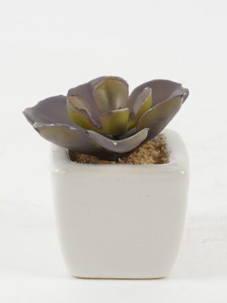 Artificial succulent 9*9*8cm Artificial succulent in ceramic pot GS-51722123 Succulent 3,000+ sqm showroom with thousands of artificial flowers, plants & trees ready for global sourcing.