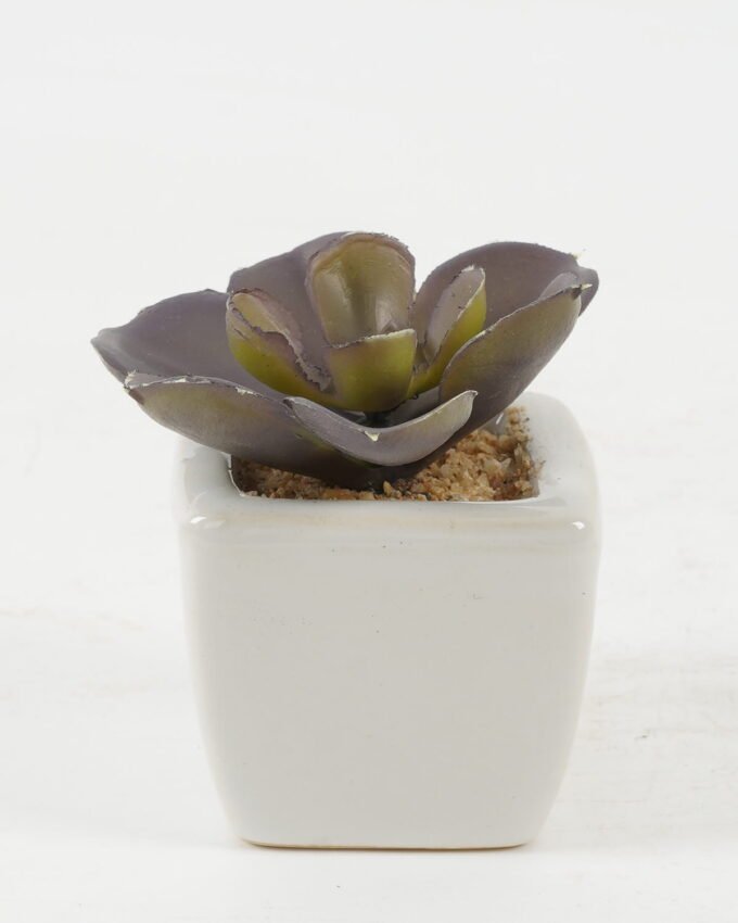 Artificial succulent 7*7*7cm Artificial succulent in ceramic pot GS-51722122 Succulent YeahFlower is one of Chinese leading OEM manufacturers and exporters , supplying the silk flowers, wholesale artificial trees