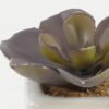 Artificial succulent 7*7*7cm Artificial succulent in ceramic pot GS-51722122 Succulent YeahFlower is one of Chinese leading OEM manufacturers and exporters , supplying the silk flowers, wholesale artificial trees