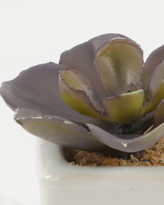 Artificial succulent 7*7*7cm Artificial succulent in ceramic pot GS-51722122 Succulent YeahFlower is one of Chinese leading OEM manufacturers and exporters , supplying the silk flowers, wholesale artificial trees