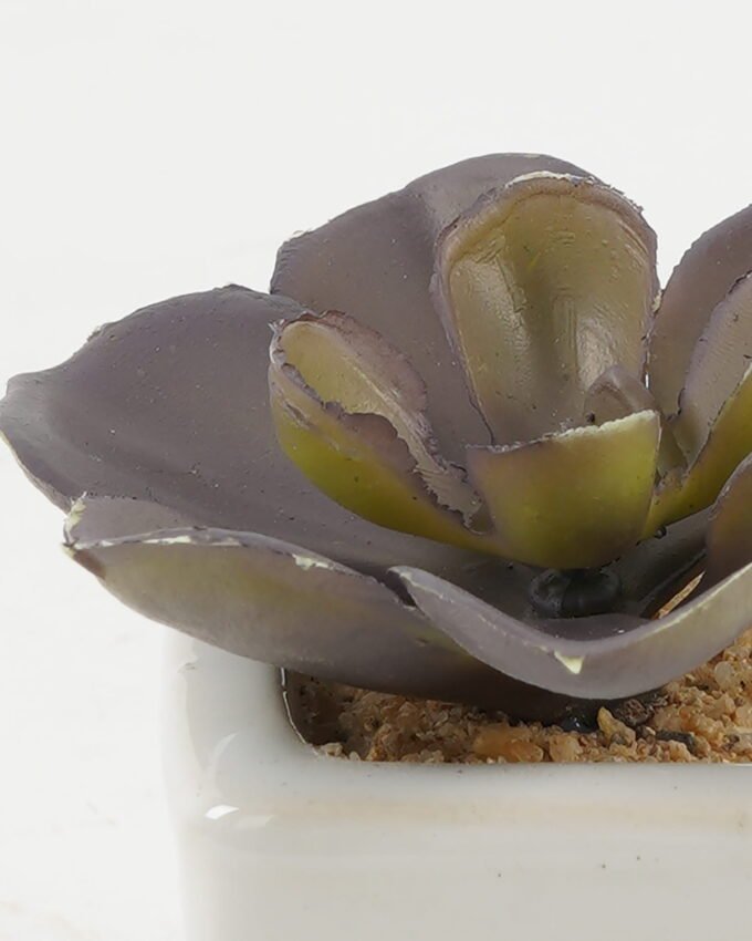Artificial succulent 7*7*7cm Artificial succulent in ceramic pot GS-51722122 Succulent YeahFlower is one of Chinese leading OEM manufacturers and exporters , supplying the silk flowers, wholesale artificial trees