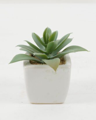 Artificial succulent 9*9*8cm Artificial succulent in ceramic pot GS-51722123 Succulent YeahFlower is one of Chinese leading OEM manufacturers and exporters , supplying the silk flowers, wholesale artificial trees