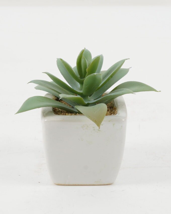 Artificial succulent 9*9*8cm Artificial succulent in ceramic pot GS-51722123 Succulent YeahFlower is one of Chinese leading OEM manufacturers and exporters , supplying the silk flowers, wholesale artificial trees