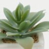 Artificial succulent 9*9*8cm Artificial succulent in ceramic pot GS-51722123 Succulent YeahFlower is one of Chinese leading OEM manufacturers and exporters , supplying the silk flowers, wholesale artificial trees