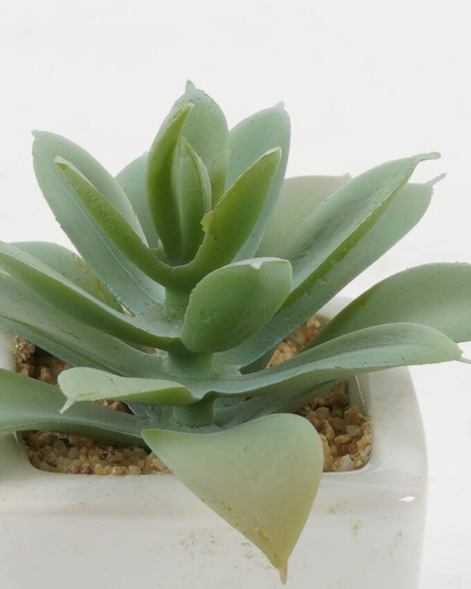 Artificial succulent 9*9*8cm Artificial succulent in ceramic pot GS-51722123 Succulent YeahFlower is one of Chinese leading OEM manufacturers and exporters , supplying the silk flowers, wholesale artificial trees