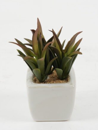 Artificial succulent 9*9*8cm Artificial succulent in ceramic pot GS-51722123 Succulent 3,000+ sqm showroom with thousands of artificial flowers, plants & trees ready for global sourcing.