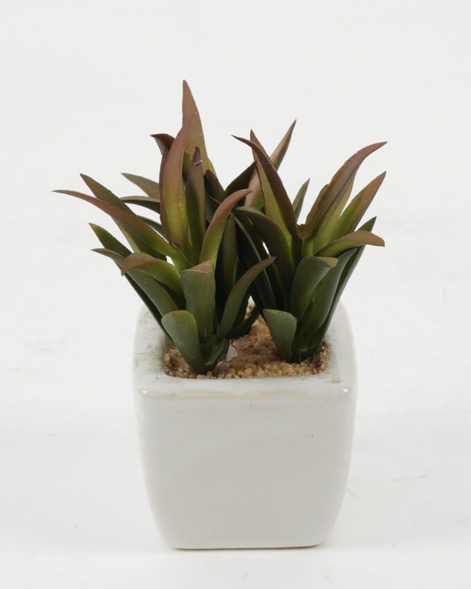 Artificial succulent 7*7*10cm Artificial succulent in ceramic pot GS-51722124 Succulent YeahFlower is one of Chinese leading OEM manufacturers and exporters , supplying the silk flowers, wholesale artificial trees