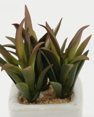 Artificial succulent 7*7*10cm Artificial succulent in ceramic pot GS-51722124 Succulent YeahFlower is one of Chinese leading OEM manufacturers and exporters , supplying the silk flowers, wholesale artificial trees