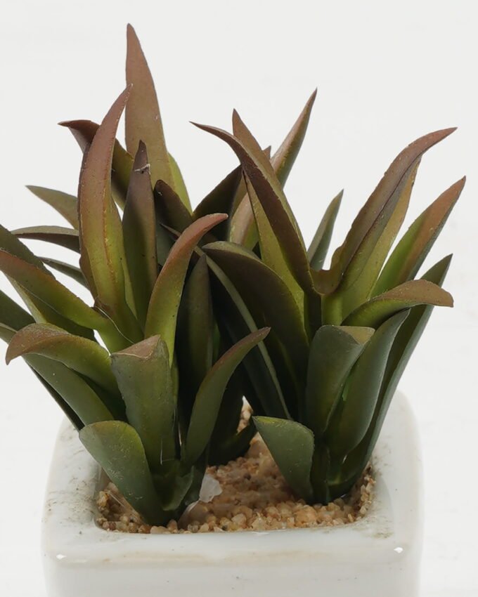 Artificial succulent 7*7*10cm Artificial succulent in ceramic pot GS-51722124 Succulent YeahFlower is one of Chinese leading OEM manufacturers and exporters , supplying the silk flowers, wholesale artificial trees