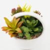 Artificial succulent in ceramic pot GS-51722167 Artificial succulent 20*20*13cm Artificial succulent in ceramic pot GS-51722167 Succulent YeahFlower is one of Chinese leading OEM manufacturers and exporters , supplying the silk flowers, wholesale artificial trees