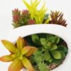Artificial succulent in ceramic pot GS-51722167_4 Artificial succulent 20*20*13cm Artificial succulent in ceramic pot GS-51722167 Succulent YeahFlower is one of Chinese leading OEM manufacturers and exporters , supplying the silk flowers, wholesale artificial trees