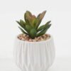 Artificial succulent 6*6*11cm Artificial succulent in ceramic pot GS-51722172 Succulent YeahFlower is one of Chinese leading OEM manufacturers and exporters , supplying the silk flowers, wholesale artificial trees