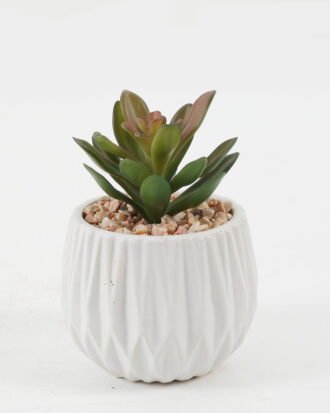 Artificial succulent 6*6*11cm Artificial succulent in ceramic pot GS-51722172 Succulent YeahFlower is one of Chinese leading OEM manufacturers and exporters , supplying the silk flowers, wholesale artificial trees