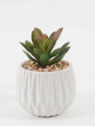 Artificial succulent 10*10*12cm Artificial succulent in ceramic pot GS-51722173 Succulent 3,000+ sqm showroom with thousands of artificial flowers, plants & trees ready for global sourcing.