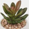 Artificial succulent 6*6*11cm Artificial succulent in ceramic pot GS-51722172 Succulent YeahFlower is one of Chinese leading OEM manufacturers and exporters , supplying the silk flowers, wholesale artificial trees