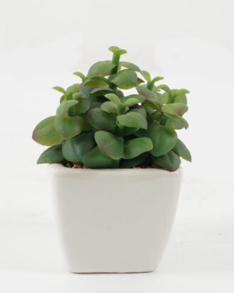 Artificial succulent 10*10*12cm Artificial succulent in ceramic pot GS-51722173 Succulent YeahFlower is one of Chinese leading OEM manufacturers and exporters , supplying the silk flowers, wholesale artificial trees