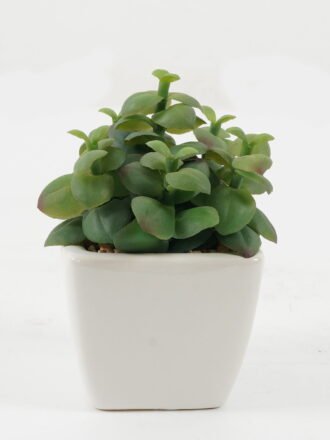 Artificial succulent 12*12*12cm Artificial succulent in ceramic pot GS-51722174 Succulent 3,000+ sqm showroom with thousands of artificial flowers, plants & trees ready for global sourcing.