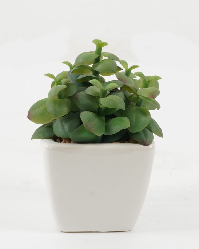 Artificial succulent 10*10*12cm Artificial succulent in ceramic pot GS-51722173 Succulent YeahFlower is one of Chinese leading OEM manufacturers and exporters , supplying the silk flowers, wholesale artificial trees