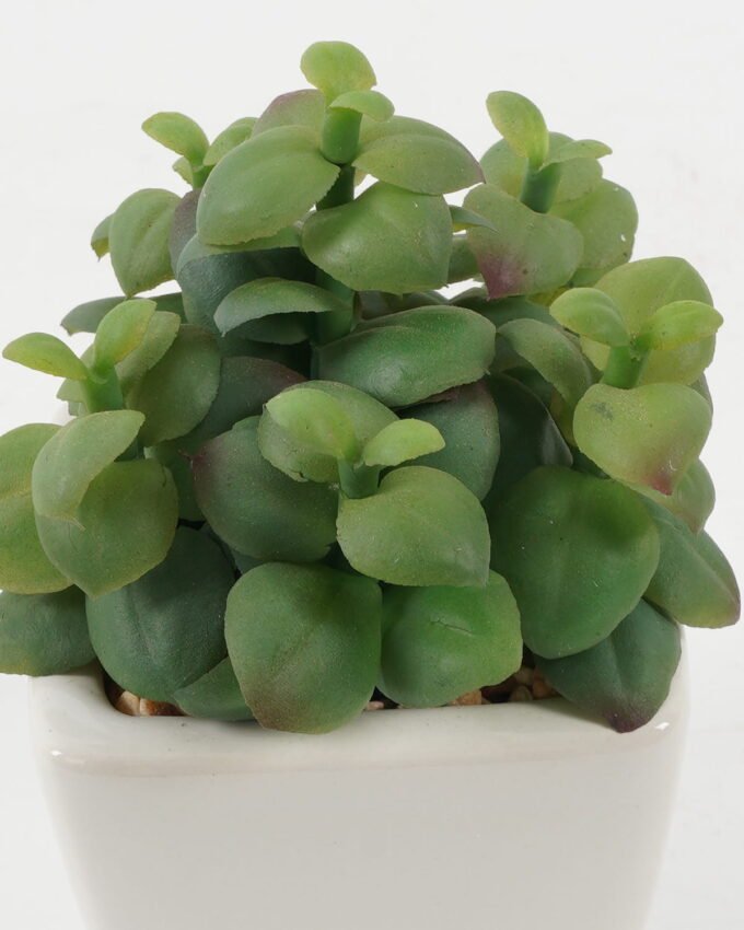 Artificial succulent 10*10*12cm Artificial succulent in ceramic pot GS-51722173 Succulent YeahFlower is one of Chinese leading OEM manufacturers and exporters , supplying the silk flowers, wholesale artificial trees
