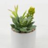 Artificial succulent in ceramic pot GS-51722174 Artificial succulent 12*12*12cm Artificial succulent in ceramic pot GS-51722174 Succulent YeahFlower is one of Chinese leading OEM manufacturers and exporters , supplying the silk flowers, wholesale artificial trees