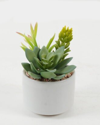 Artificial succulent 12*12*12cm Artificial succulent in ceramic pot GS-51722174 Succulent YeahFlower is one of Chinese leading OEM manufacturers and exporters , supplying the silk flowers, wholesale artificial trees Artificial succulent 12*12*12cm Artificial succulent in ceramic pot GS-51722174 Succulent YeahFlower is one of Chinese leading OEM manufacturers and exporters , supplying the silk flowers, wholesale artificial trees