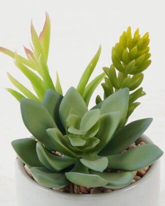 Artificial succulent 12*12*12cm Artificial succulent in ceramic pot GS-51722174 Succulent YeahFlower is one of Chinese leading OEM manufacturers and exporters , supplying the silk flowers, wholesale artificial trees Artificial succulent 12*12*12cm Artificial succulent in ceramic pot GS-51722174 Succulent YeahFlower is one of Chinese leading OEM manufacturers and exporters , supplying the silk flowers, wholesale artificial trees