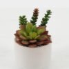 Artificial succulent in ceramic pot GS-51722175 Artificial succulent 11*11*10cm Artificial succulent in ceramic pot GS-51722175 Succulent YeahFlower is one of Chinese leading OEM manufacturers and exporters , supplying the silk flowers, wholesale artificial trees