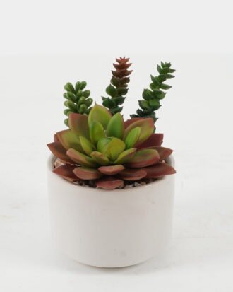 Artificial succulent 11*11*10cm Artificial succulent in ceramic pot GS-51722175 Succulent YeahFlower is one of Chinese leading OEM manufacturers and exporters , supplying the silk flowers, wholesale artificial trees Artificial succulent 11*11*10cm Artificial succulent in ceramic pot GS-51722175 Succulent YeahFlower is one of Chinese leading OEM manufacturers and exporters , supplying the silk flowers, wholesale artificial trees