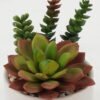 Artificial succulent in ceramic pot GS-51722175_4 Artificial succulent 11*11*10cm Artificial succulent in ceramic pot GS-51722175 Succulent YeahFlower is one of Chinese leading OEM manufacturers and exporters , supplying the silk flowers, wholesale artificial trees