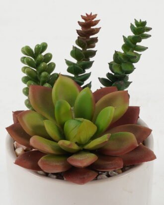 Artificial succulent 11*11*10cm Artificial succulent in ceramic pot GS-51722175 Succulent YeahFlower is one of Chinese leading OEM manufacturers and exporters , supplying the silk flowers, wholesale artificial trees Artificial succulent 11*11*10cm Artificial succulent in ceramic pot GS-51722175 Succulent YeahFlower is one of Chinese leading OEM manufacturers and exporters , supplying the silk flowers, wholesale artificial trees