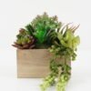 Artificial succulent 17*17*26cm Artificial succulent in wood pot GS-51722170 Succulent YeahFlower is one of Chinese leading OEM manufacturers and exporters , supplying the silk flowers, wholesale artificial trees
