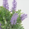 Artificial succulent lavender in pp pot GS-51722151_1 Artificial succulent 14*14*22cm lavender in pp pot GS-51722151 Succulent YeahFlower is one of Chinese leading OEM manufacturers and exporters , supplying the silk flowers, wholesale artificial trees