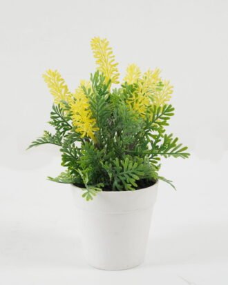 Artificial succulent 14*14*22cm lavender in pp pot GS-51722152 Succulent YeahFlower is one of Chinese leading OEM manufacturers and exporters , supplying the silk flowers, wholesale artificial trees Artificial succulent 14*14*22cm lavender in pp pot GS-51722152 Succulent YeahFlower is one of Chinese leading OEM manufacturers and exporters , supplying the silk flowers, wholesale artificial trees