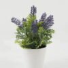 Artificial succulent 14*14*22cm lavender in pp pot GS-51722153 Succulent YeahFlower is one of Chinese leading OEM manufacturers and exporters , supplying the silk flowers, wholesale artificial trees