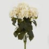 Artificial Flower 58cm Flower bush 7 GS-38022007-W1_1 Artificial Flower 58cm Flower bush *7 GS-38022007-W1 Flowers Bush YeahFlower is one of Chinese leading OEM manufacturers and exporters , supplying the silk flowers, wholesale artificial trees