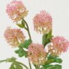Artificial Flower 18*18*58cm An onion bulb *5 single stem GS-05522095 Single Flowers YeahFlower is one of Chinese leading OEM manufacturers and exporters , supplying the silk flowers, wholesale artificial trees