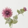 Artificial Flower 22*22*65cm Dahlia *2 single stem GS-44322010-R1 Single Flowers YeahFlower is one of Chinese leading OEM manufacturers and exporters , supplying the silk flowers, wholesale artificial trees