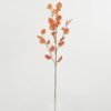 Artificial Flower 20*20*88cm Eucalyptus *5 single stem GS-29822035-O2 Single Flowers YeahFlower is one of Chinese leading OEM manufacturers and exporters , supplying the silk flowers, wholesale artificial trees