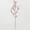 Artificial Flower Eucalyptus 5 single stem GS-29822035-Z2_7 Artificial Flower 20*20*88cm Eucalyptus *5 single stem GS-29822035-Z2 Single Flowers YeahFlower is one of Chinese leading OEM manufacturers and exporters , supplying the silk flowers, wholesale artificial trees