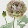 Artificial Flower Flower single stem GS-44322004_2 Artificial Flower 18*18*45cm Flower single stem GS-44322004 Single Flowers YeahFlower is one of Chinese leading OEM manufacturers and exporters , supplying the silk flowers, wholesale artificial trees