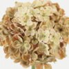 Artificial Flower Hydrangea single stem GS-44322001-Y1_6 Artificial Flower 18*18*46cm Hydrangea single stem GS-44322001-Y1 Single Flowers YeahFlower is one of Chinese leading OEM manufacturers and exporters , supplying the silk flowers, wholesale artificial trees