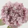 Artificial Flower 22*22*66cm Hydrangea single stem GS-44322002-P1 Single Flowers YeahFlower is one of Chinese leading OEM manufacturers and exporters , supplying the silk flowers, wholesale artificial trees