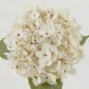 Artificial Flower Hydrangea single stem GS-44322002_2 Artificial Flower 22*22*66cm Hydrangea single stem GS-44322002 Single Flowers YeahFlower is one of Chinese leading OEM manufacturers and exporters , supplying the silk flowers, wholesale artificial trees